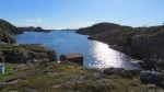 Twillingate,-Newfoundland,-Daisy's-Ocean-View--5.jpg